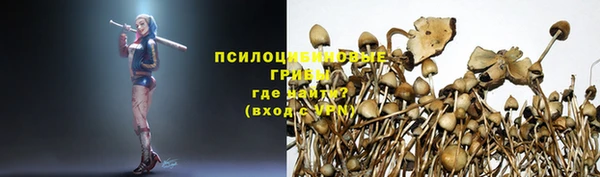 MDMA Козловка
