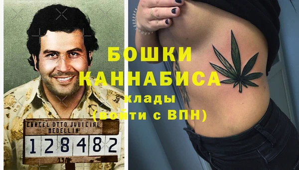 PSILOCYBIN Кодинск
