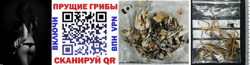 Галлюциногенные грибы мицелий Сухой Лог