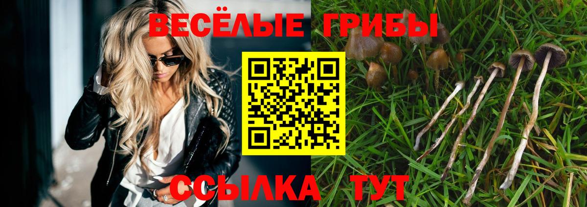 купить наркотик  Вход с VPN  Сухой Лог  Галлюциногенные грибы мухоморы 